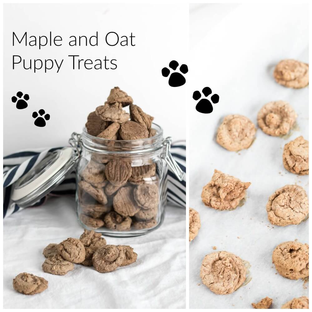 Maple Oat Puppy Treats | www.infinebalance.com #recipe #dog